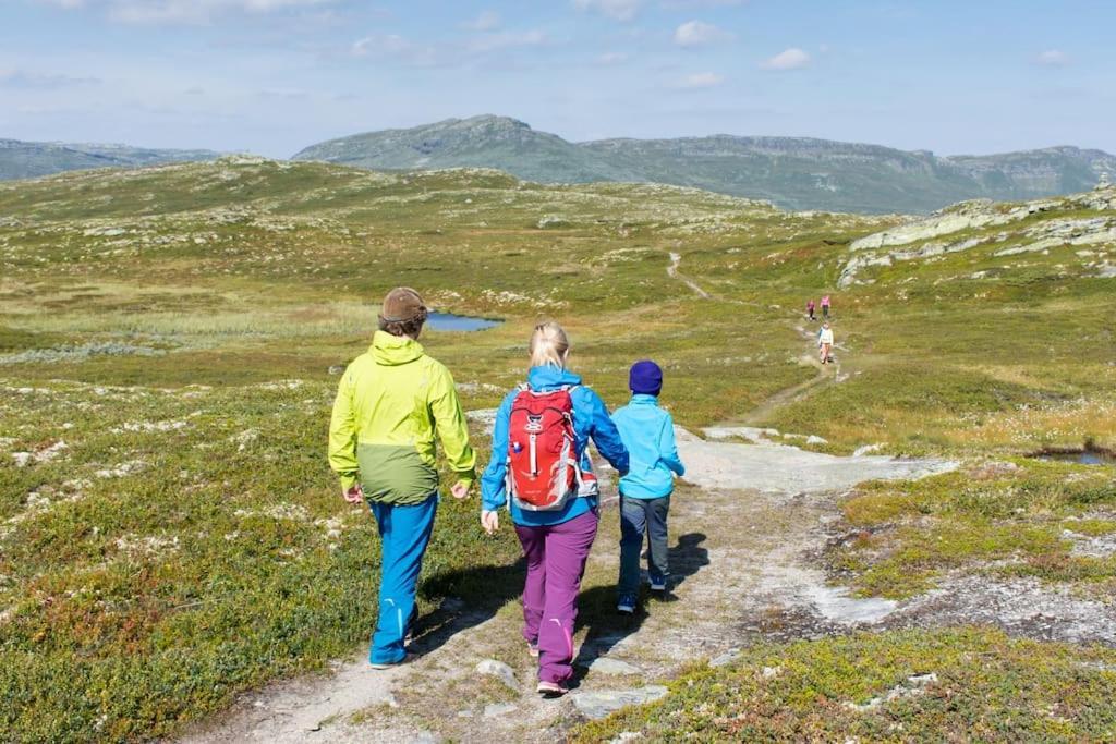 Apartament Skeikampen Leilighet, Veslesetervegen 973 F Svingvoll Zewnętrze zdjęcie